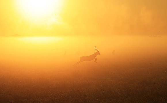 Morning mist - Kafue NP