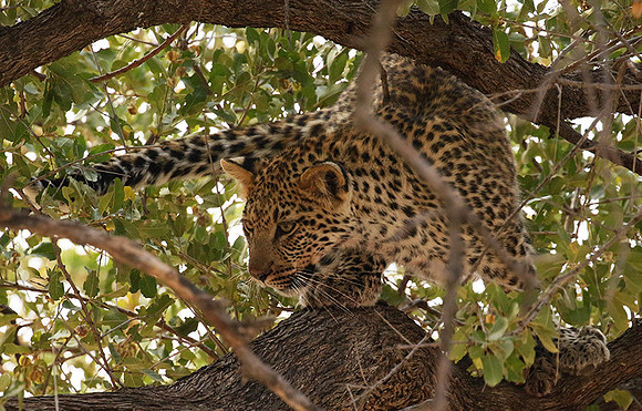 Hwange National Park