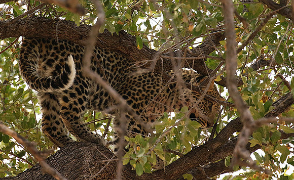 Hwange National Park