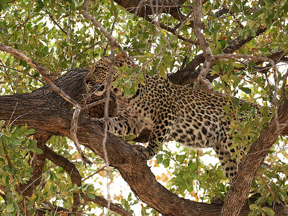 Hwange National Park