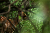 At Lion Sands