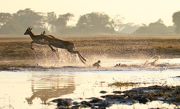 Kafue NP