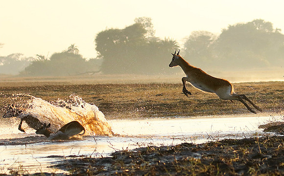 Kafue NP