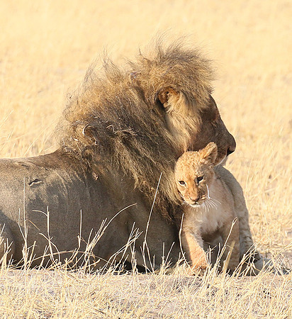 Hwange NP