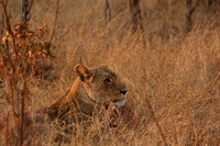 Matetsi private game reserve