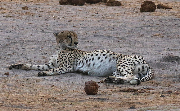 Hwange National Park