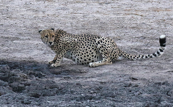 Hwange National Park