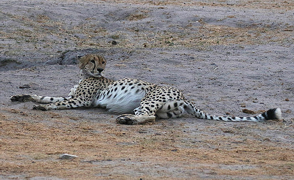 Hwange National Park