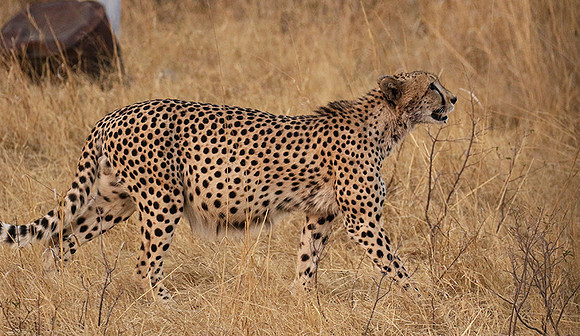 Hwange National Park
