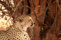 Matusadona National Park
