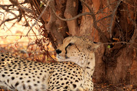 Matusadona National Park