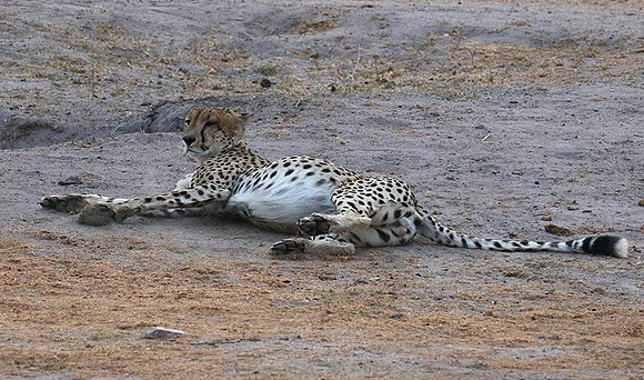 Hwange National Park
