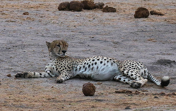 Hwange National Park