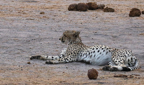 Hwange National Park