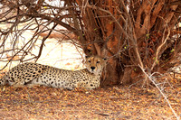 Matusadona National Park