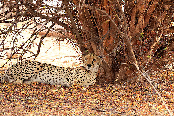 Matusadona National Park