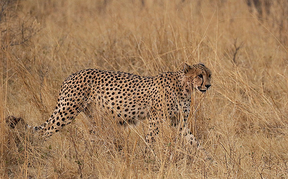 Hwange National Park