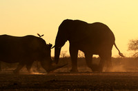 Malilangwe wildlife reserve