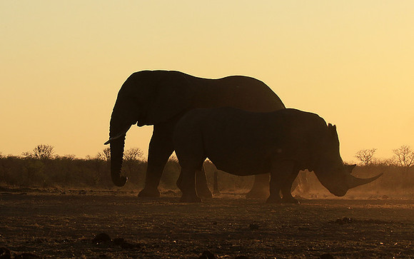 Malilangwe wildlife reserve