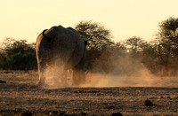 Malilangwe wildlife reserve