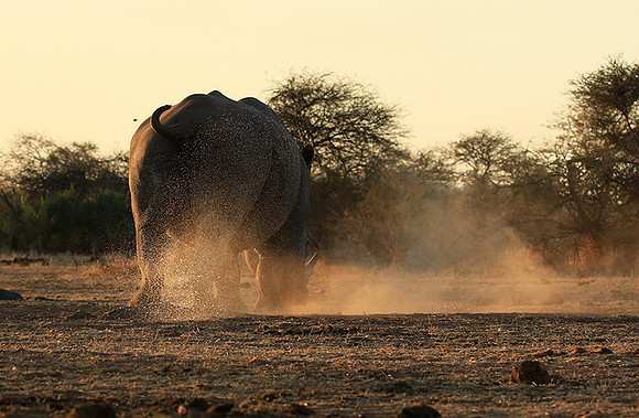 Malilangwe wildlife reserve