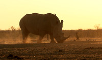 Malilangwe wildlife reserve