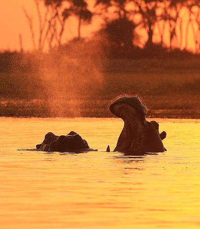 Kafue NP