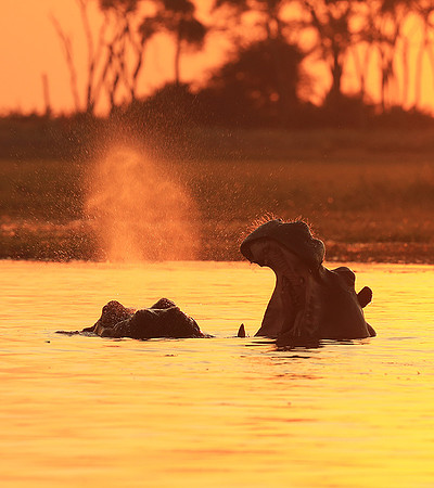 Kafue NP