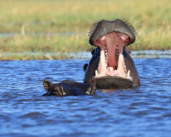 Kafue National Park