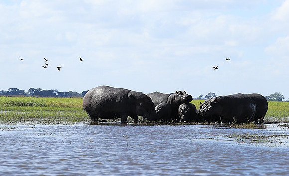 Kafue NP