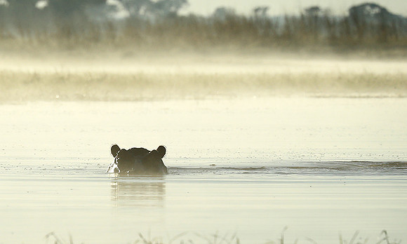 Kafue NP