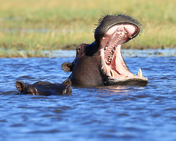 Kafue National Park