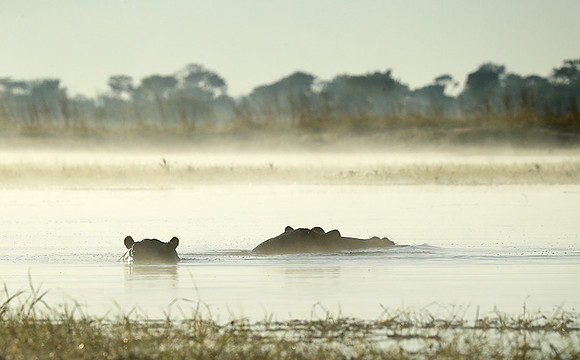 Kafue NP