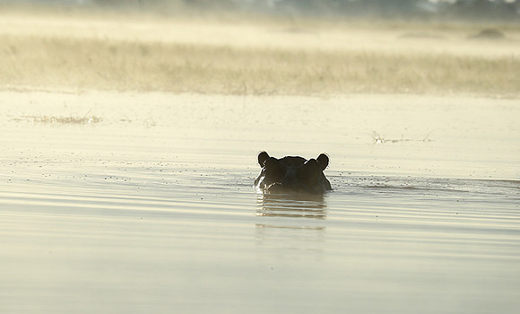 Kafue NP