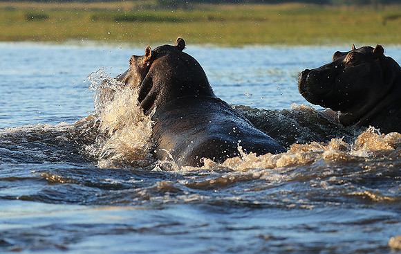 Kafue NP