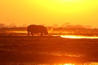 Kafue NP