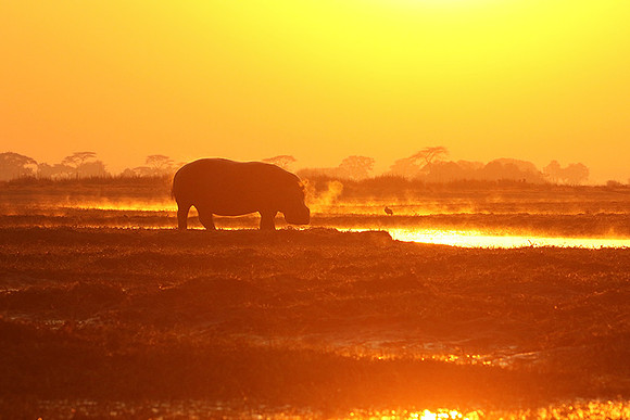 Kafue NP