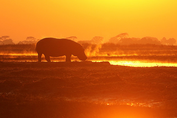 Kafue NP