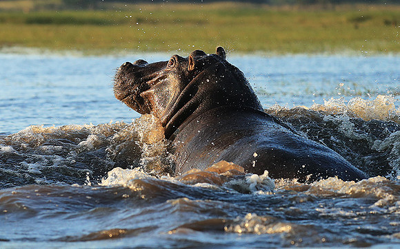 Kafue NP