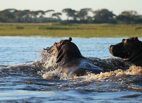 Kafue NP