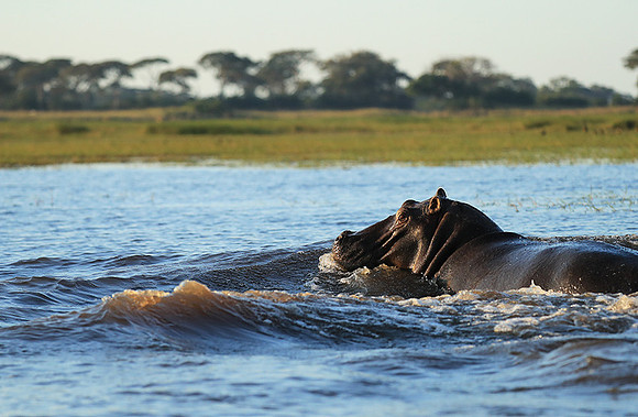 Kafue NP