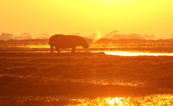Kafue NP