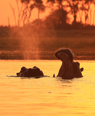 Kafue NP