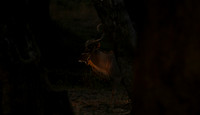 South Luangwa