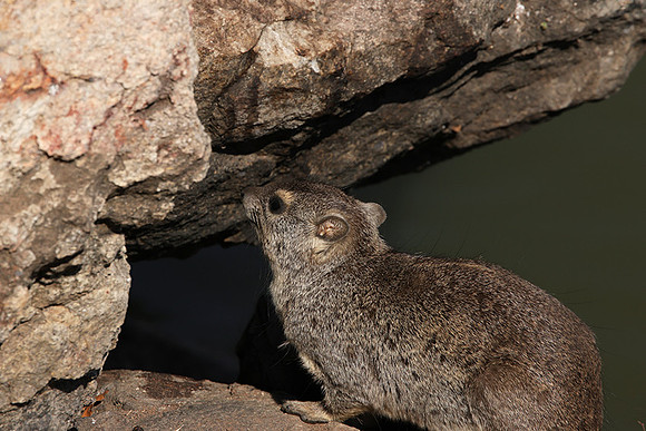 Hwange NP