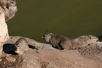 Hwange NP