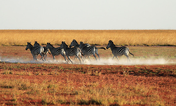 Liuwa Plain NP