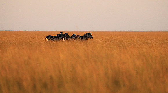 Liuwa Plain NP