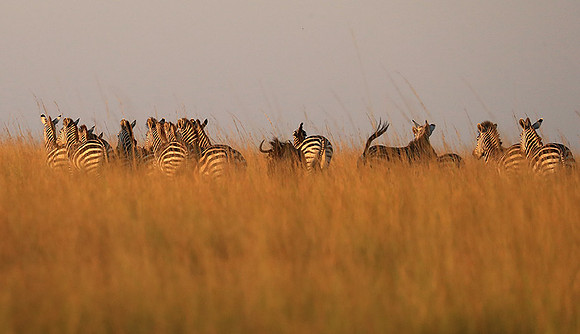 Liuwa Plain NP