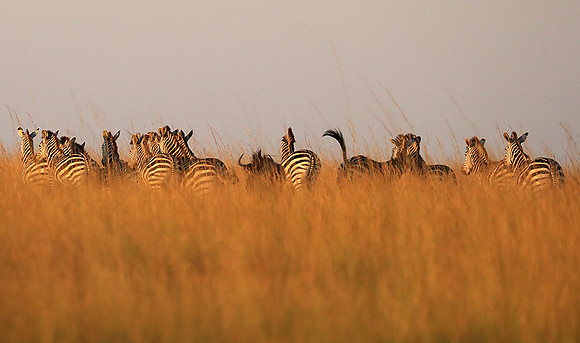 Liuwa Plain NP